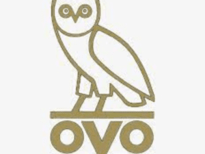 OVO App Not Working